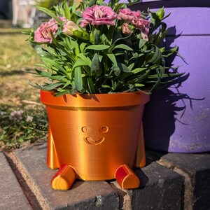 May include: A whimsical orange planter with a smiling face and small red feet, holding a vibrant plant with pink flowers and green foliage. The planter is sitting on a brick surface, with a purple planter in the background.