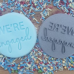 May include: Two round, blue and gray cookie cutters with the text "WE'RE engaged" in white. The cookie cutters are surrounded by colorful sprinkles.