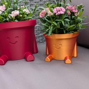May include: Two whimsical, smiling flower pots, one red and one orange, each with attached legs. The pots are filled with green foliage and pink flowers. A fun and unique addition to any home or garden.