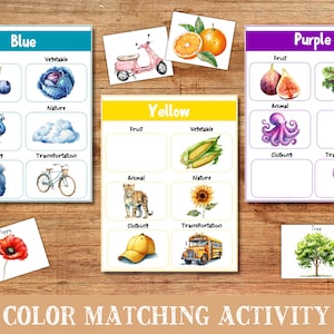 Color Matching Activities • Kids Toddlers Color Sorting Cards • Homeschool Learning Materials • DIGITAL Print • Montessori Colors