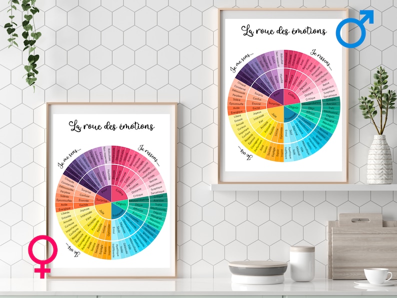 Franse poster emotiewiel: hulpmiddel voor geestelijke gezondheidstherapie (digitale download) afbeelding 3