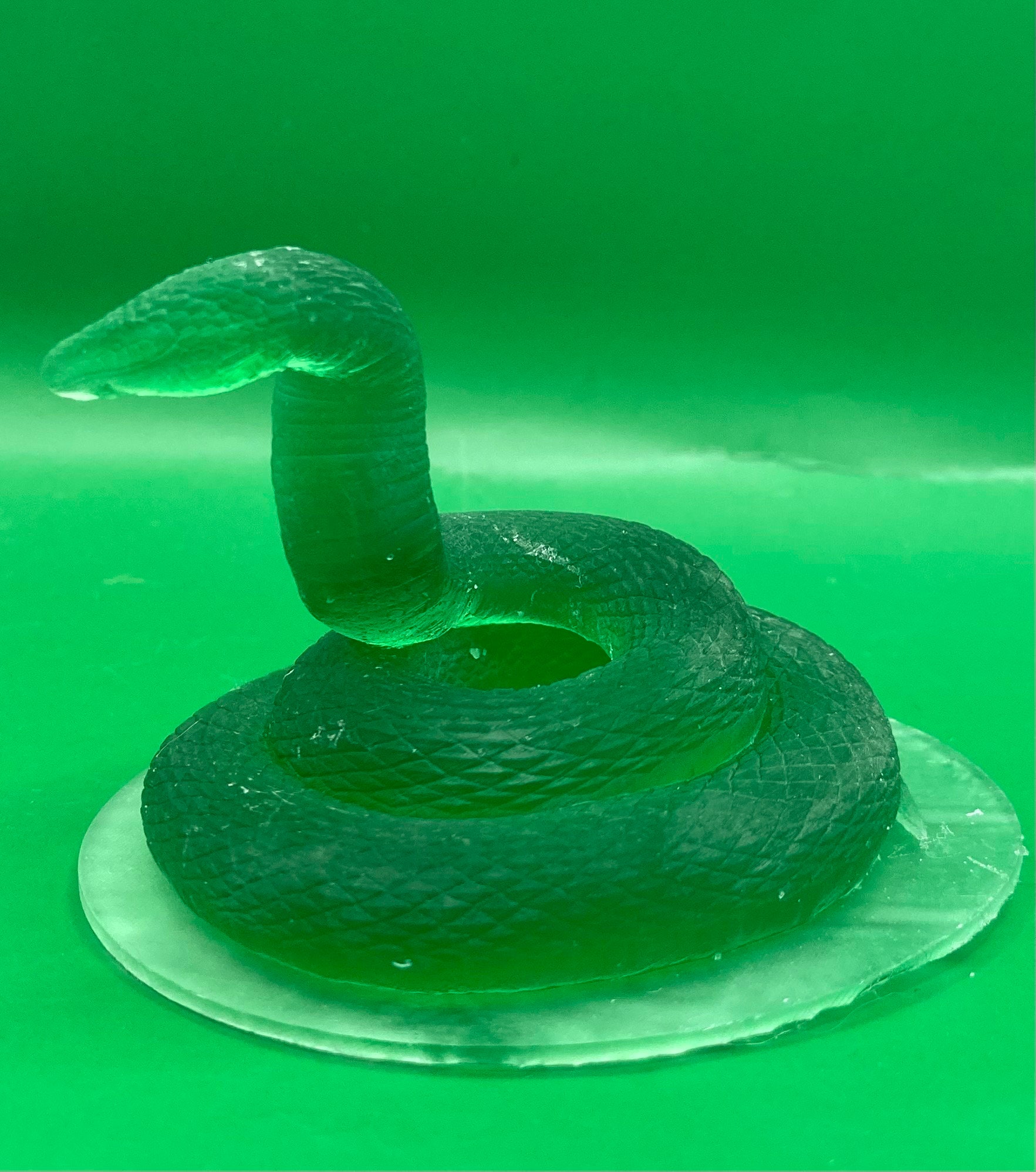 Giant Constrictor Snake (2 Variants Available) - MZ4250 - Etsy