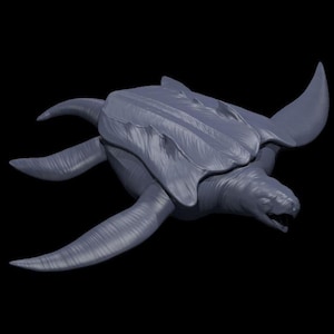 Archelon - MZ4250