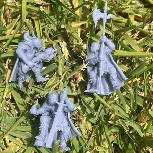 May include: Three unpainted grey miniature figurines depicting armoured warriors. One figure holds a crossbow, another wields a poleaxe, and the third holds a large sword. Each warrior wears detailed plate armour, a cape, and a helmet with horns.