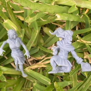 May include: Two grey 3D printed figurines, one of a female figure with long hair and a dress, and the other of a creature with a long tail and a cloak, both standing on a bed of green grass.