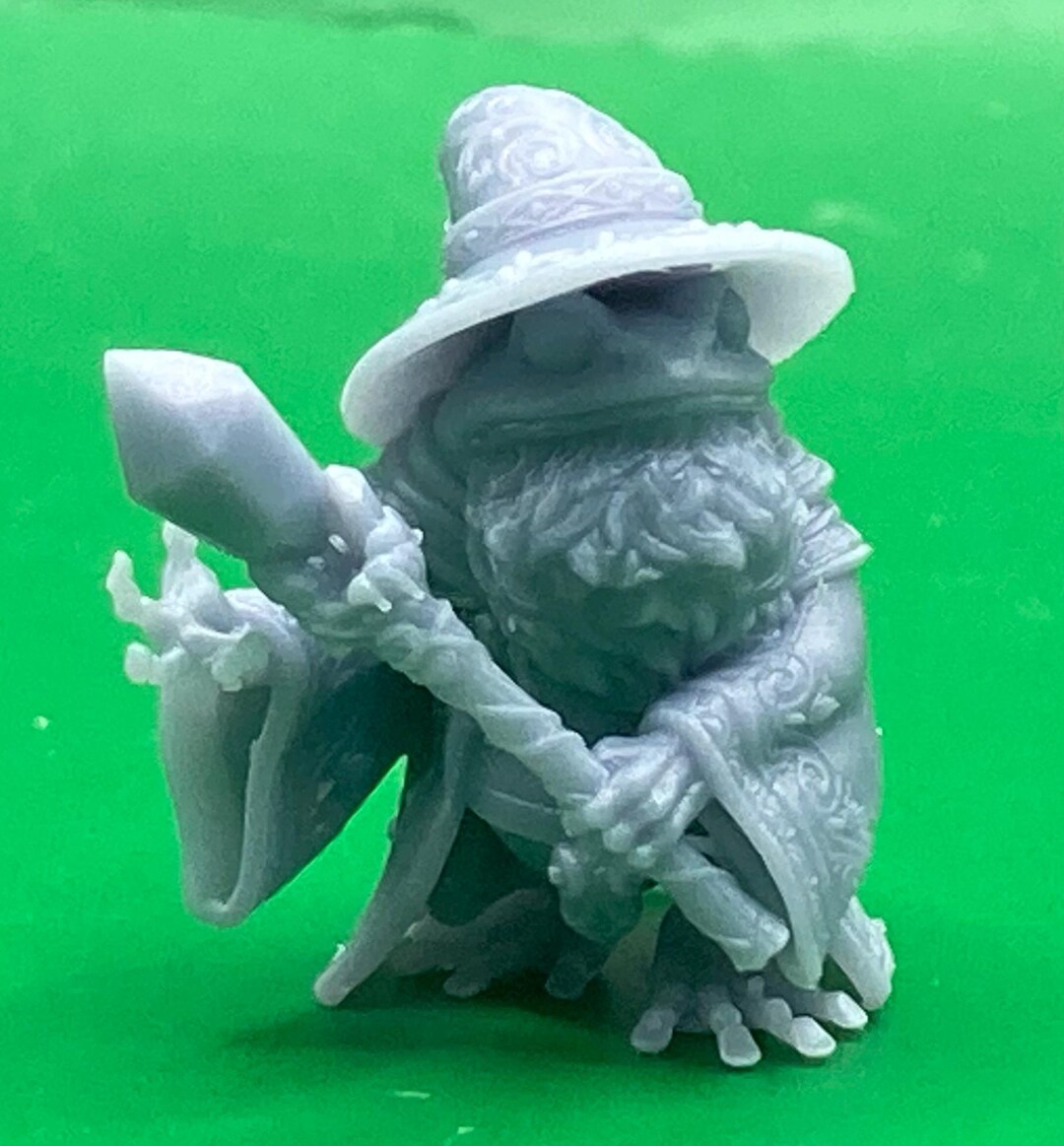 Frog Wizard 4 In Frog Wizards (3 Variants Available) - Epic Miniatures - Etsy