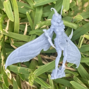 Moth Girl (3 Variants Available) - Epic Miniatures