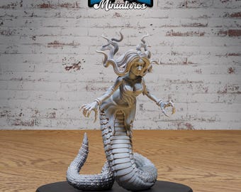 May include: A gray, detailed miniature of a female serpent creature with a human upper body and a snake lower body. The creature has long, flowing hair and is posed in a defensive stance. The base size is large (51mm).