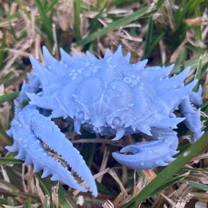 Giant Crab (3 Variants Available) - Epic Miniatures