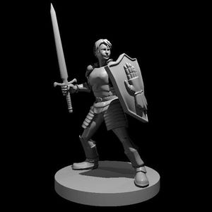 Human Paladins, Set 1 (8 Variants Available) - MZ4250