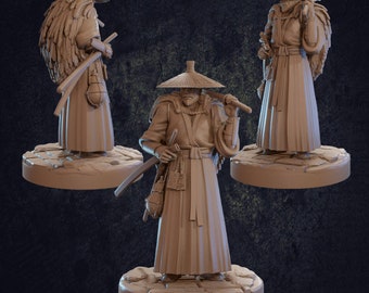 Hattori, Human Ronin - Dragon Trapper's Lodge