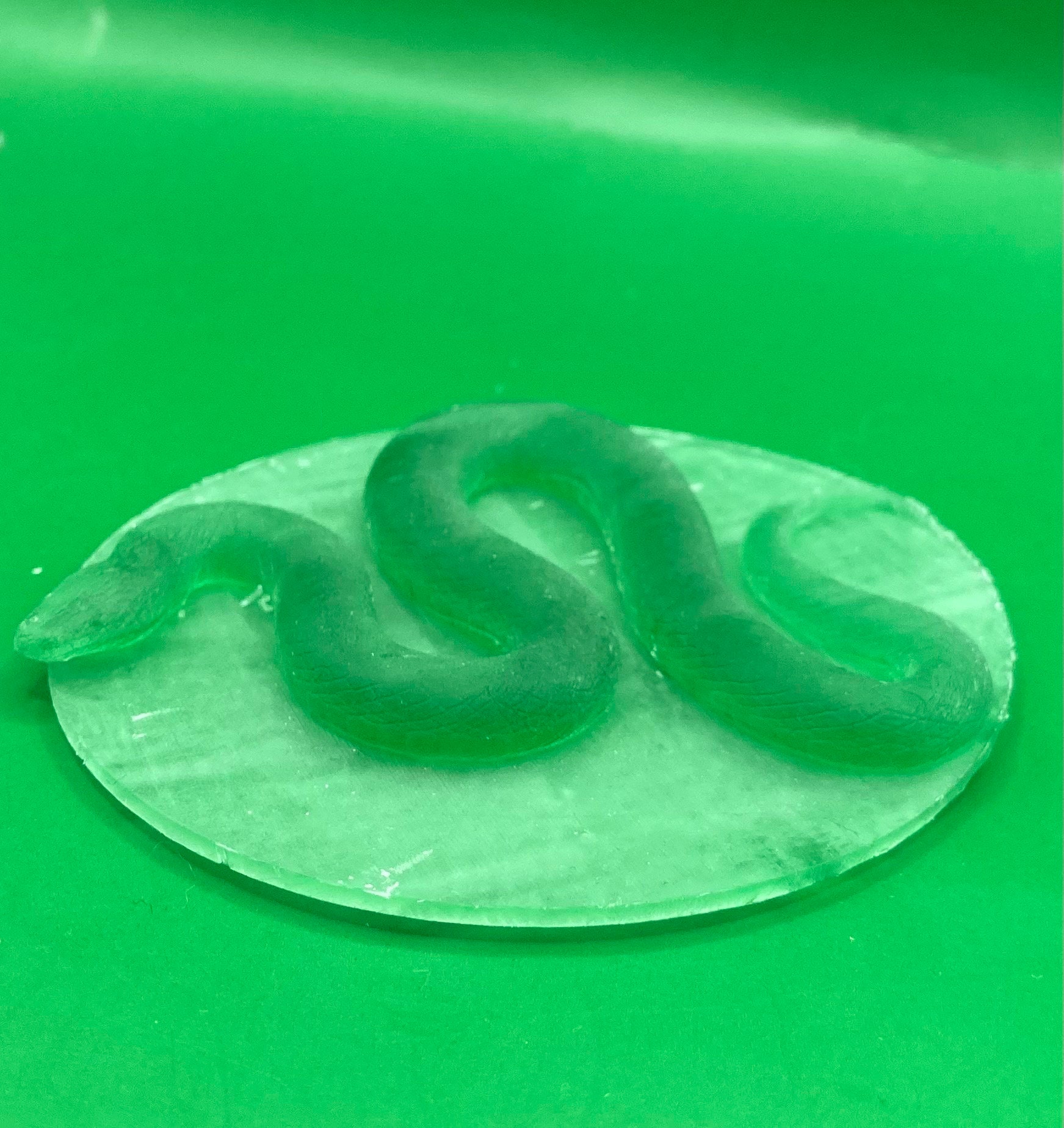 Giant Constrictor Snake (2 Variants Available) - MZ4250 - Etsy
