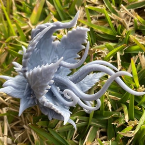 Bodytaker Plant - Etsy Australia