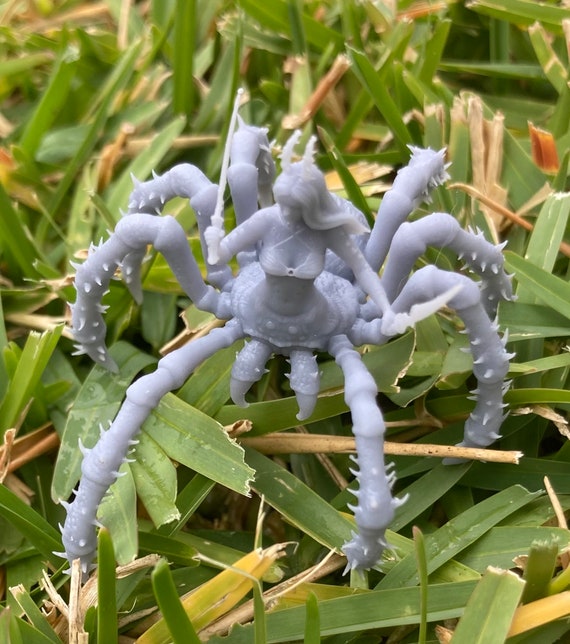 Arachne, Spider Lady (3 Variants Available) - Epic Miniatures - Etsy