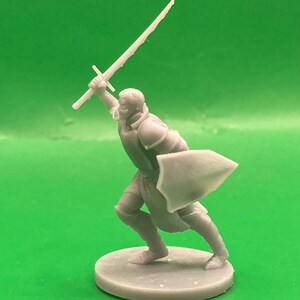 Human Paladins, Set 1 (8 Variants Available) - MZ4250