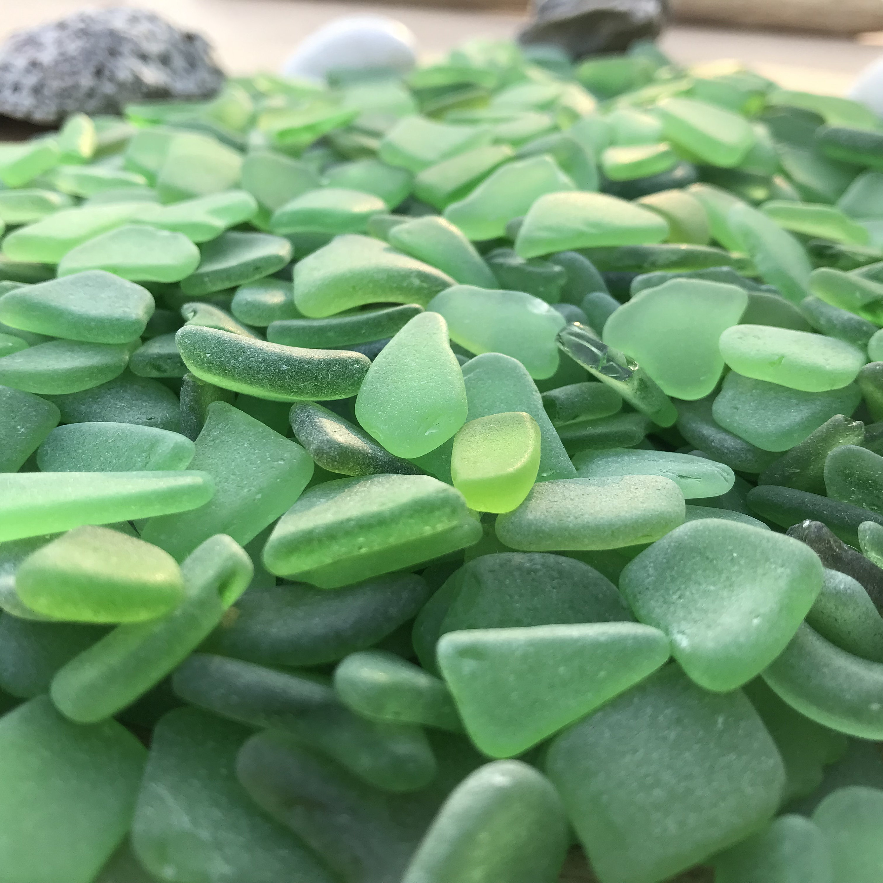 Bulk Green Sea Glass Genuine Beach Glass Lot 50 300 Pieces 1 2cm