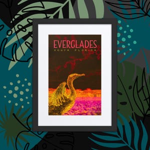 Anhinga - Arte digitale 12x16" di Crystal Solgot - Poster con passepartout e cornice stampato su carta spessa, decorazioni leggere per la fauna selvatica della Florida