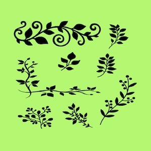Vines, Leaves SVG PNG