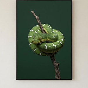 Grafika ścienna z zielonym wężem, cyfrowy wydruk boa z drzewa szmaragdowego, plakat z nastrojowym, mrocznym gadem botanicznym, pobieranie spiralnego węża