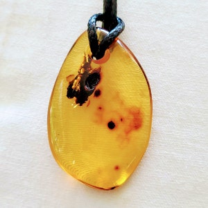 Large Amber Pendant, Genuine Baltic Amber, Gift for Mother&#39;s Day, High-Quality Amber Pendant