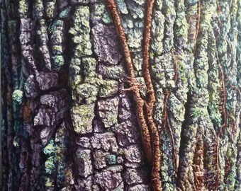 Bark 7