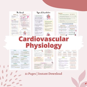 Appunti di fisiologia cardiovascolare / Appunti di fisiologia del sistema circolatorio / Pacchetto di appunti di anatomia e fisiologia del sistema cardiovascolare