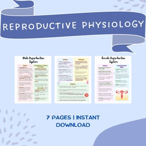 Reproductive Physiology Notes | Reproductive System Physiology Notes | Anatomy and Physiology Reproductive System Notes Bundle