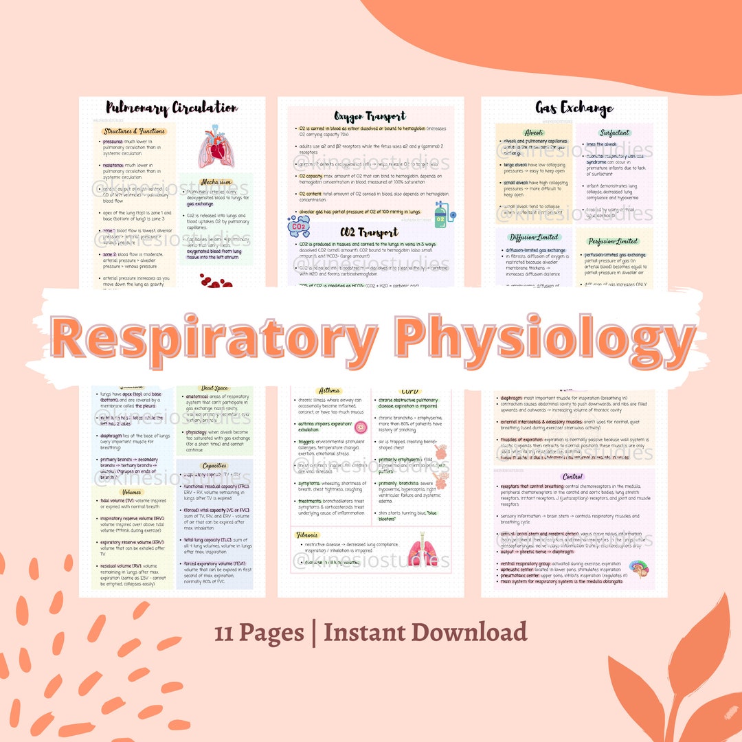 RESPIRATORY SYSTEM NOTES ANATOMY AND PHYSIOLOGY PDF IMPERFECT PHARMACY visual data 5