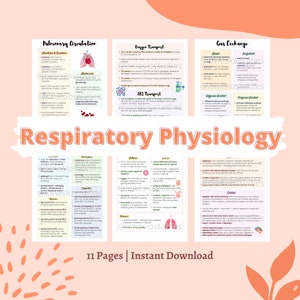 Respiratory Physiology Notes | Anatomy and Physiology Respiratory System Notes Bundle