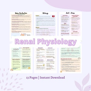 Notas de fisiología renal / Paquete de notas de anatomía y fisiología del sistema renal