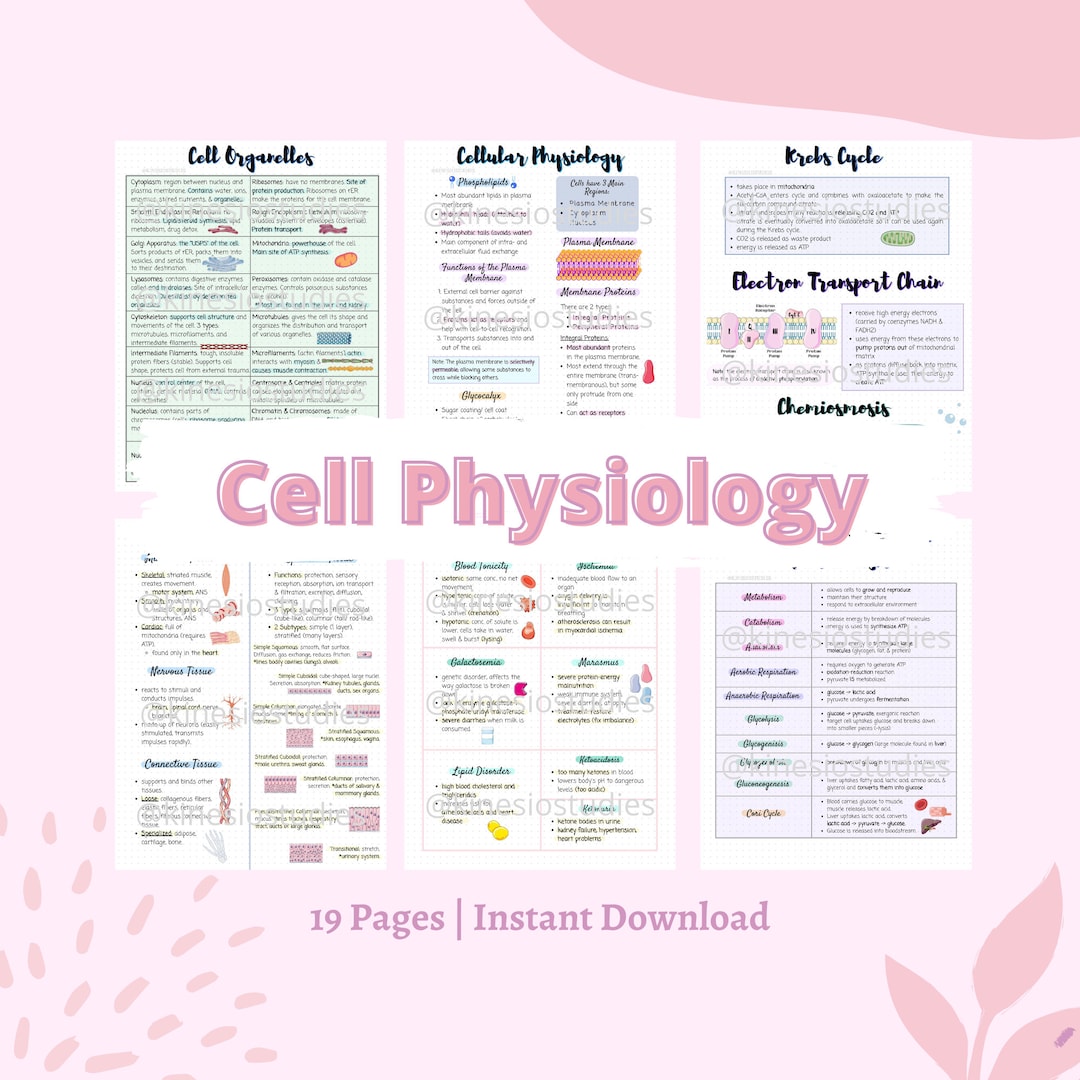 Cellular Physiology Notes | Introduction to Physiology Notes | Anatomy ...