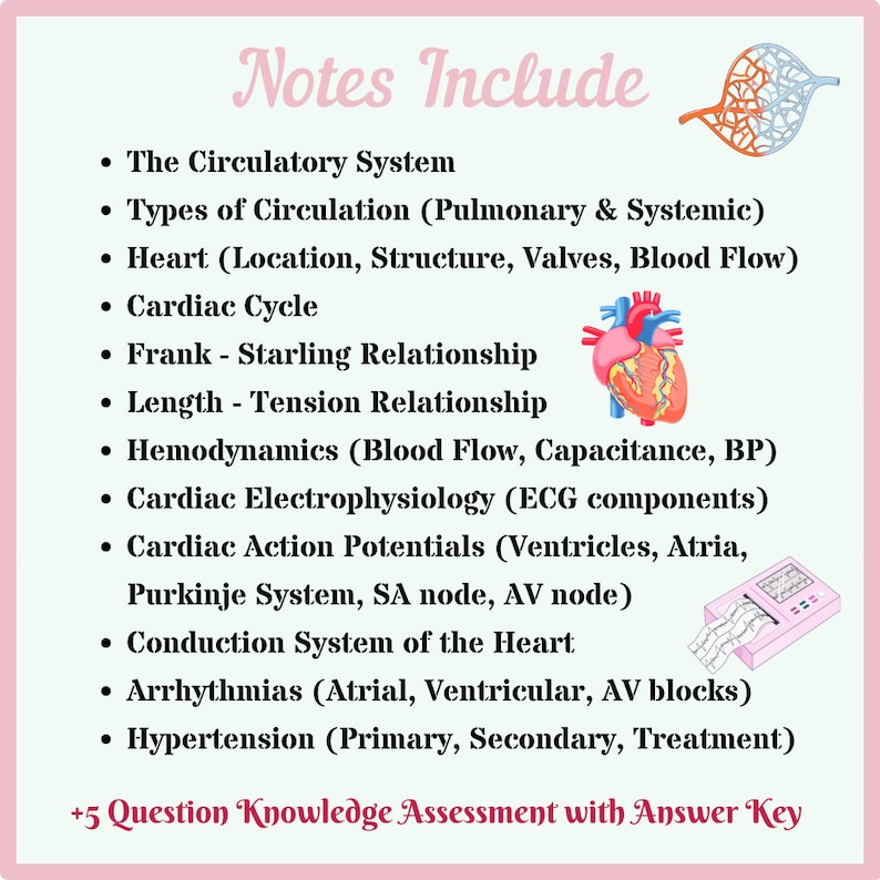 Cardiovascular Physiology Notes | Circulatory System Physiology Notes ...
