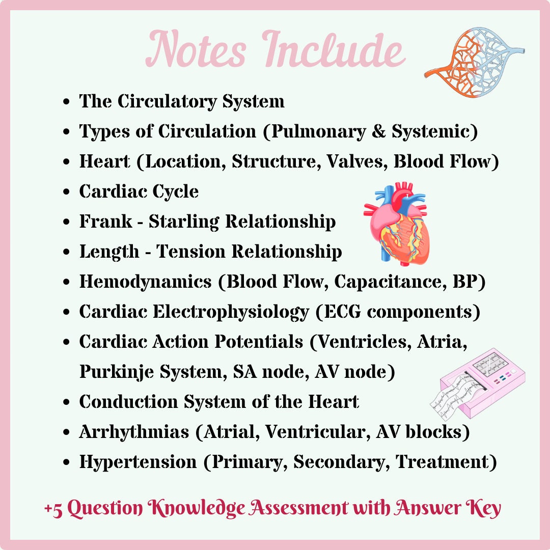 Cardiovascular Physiology Notes | Circulatory System Physiology Notes ...