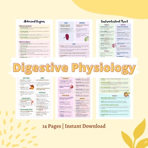 Digestive System Physiology Notes | Gastrointestinal Physiology Notes | Anatomy and Physiology Digestive Notes Bundle