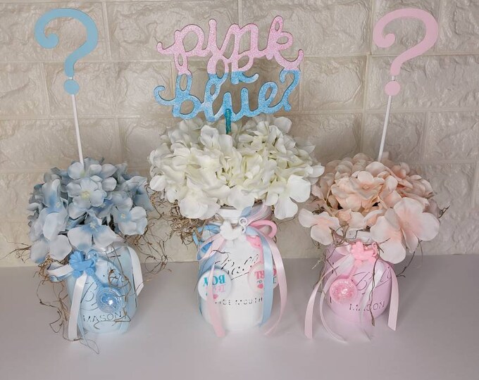 Gender Reveal Mason Jar Set, Baby Shower Decorations, Pink and Blue
