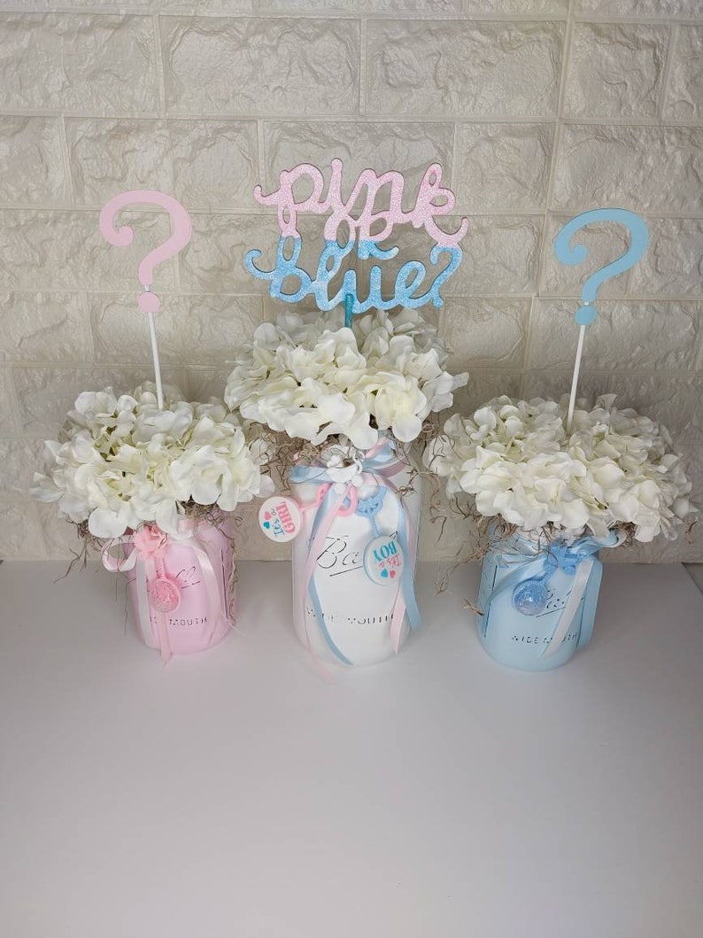Gender Reveal Mason Jar Set, Baby Shower Decorations, Pink and Blue