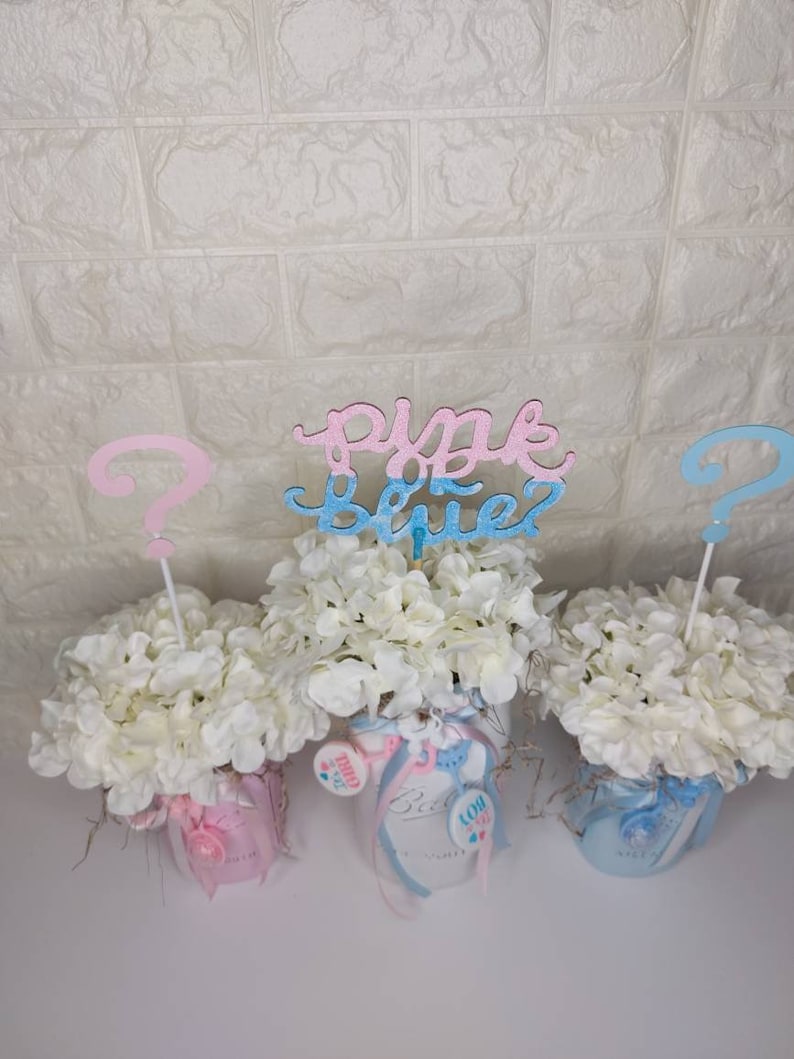 Gender Reveal Mason Jar Set, Baby Shower Decorations, Pink and Blue