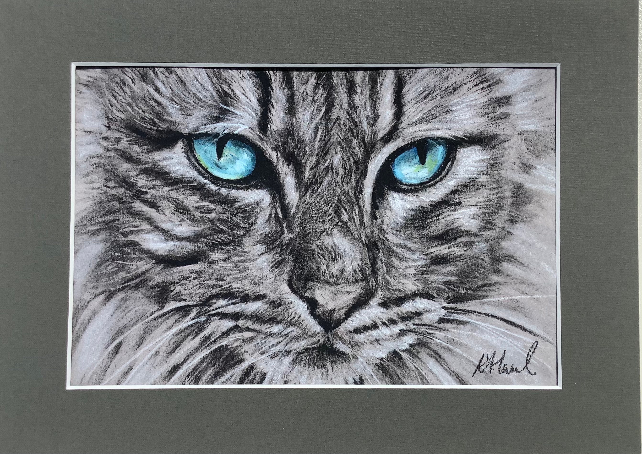 Cat Fine Art Giclee Print pretty Blue Eyes / Cat Charcoal - Etsy Cat Fine Art Giclee Print pretty Blue Eyes / Cat Charcoal - Etsy