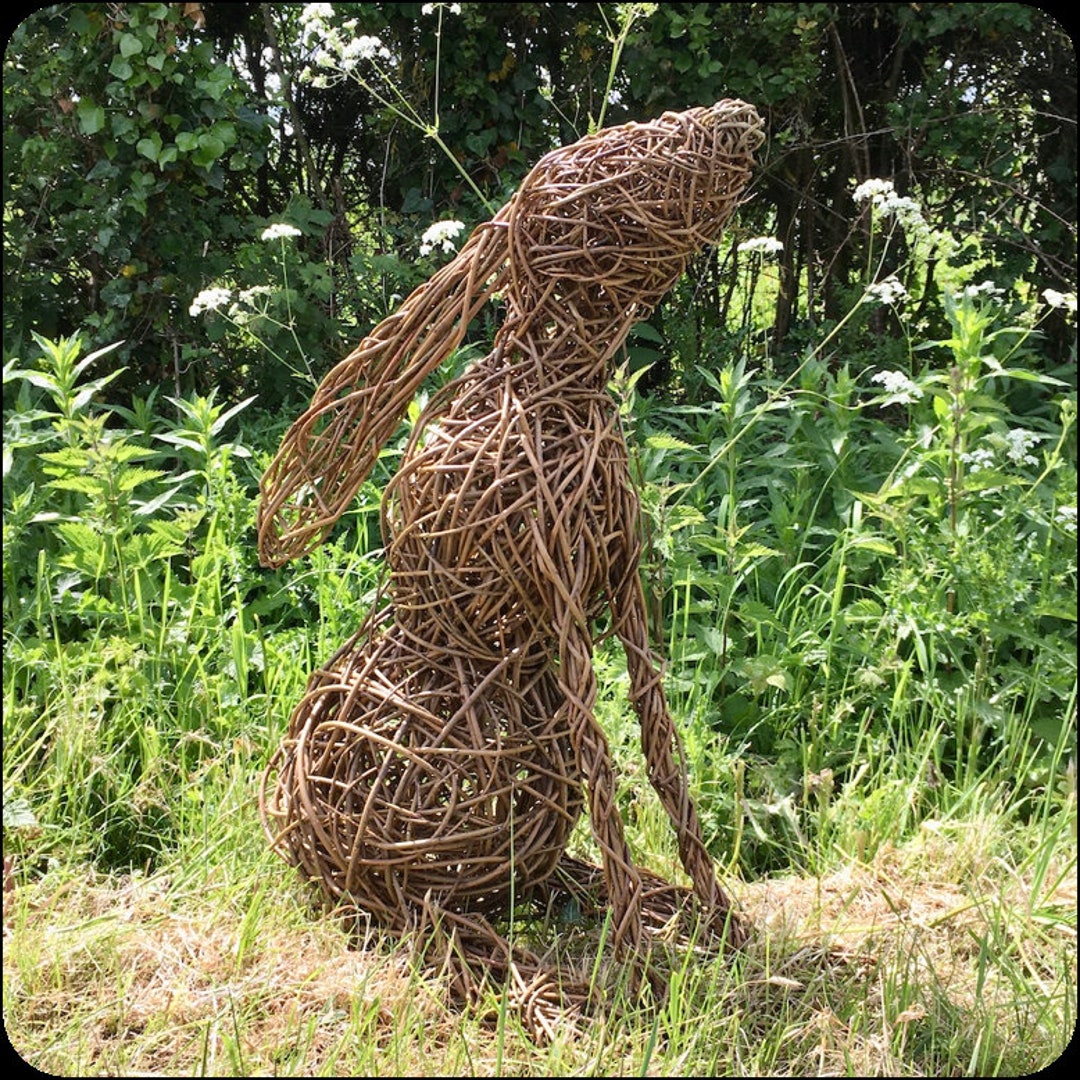 Moon Gazing Hare Willow Kit - Etsy UK