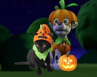 Halloween One-Size Bundle for Dogs & Cats | Pumpkin Hats, Body Wrap, Bibs, Crawling Spider Neck Collar Cute Holiday Cosplay/Costumes/Outfits