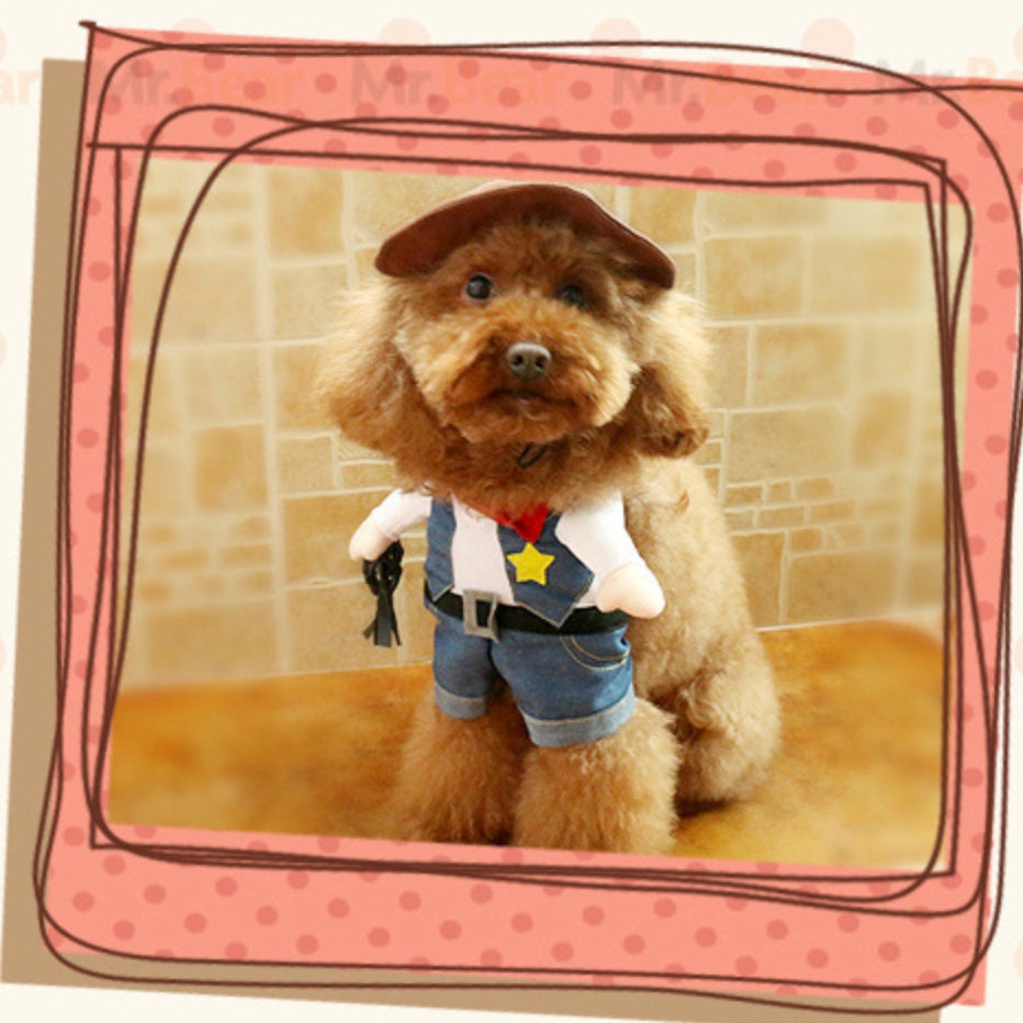 9+ Dog Boxer Costume