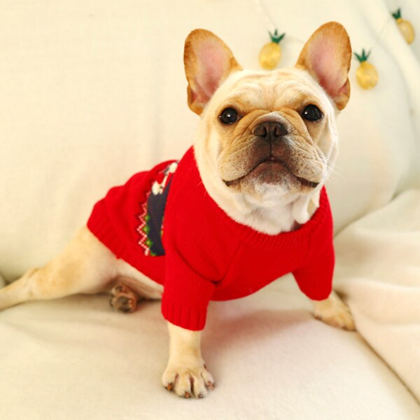 Cute Red Knitwear Xmas Sweater for your pets  |Perfect Xmas Clothes for Small Dogs & Cats |Comfortable Cute Warm Outfits for Pets Owner 2021