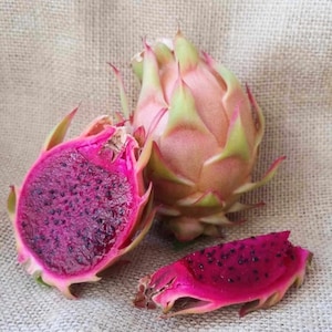 Zeer zeldzame stekjes drakenfruit 20-30 cm | Pitaya | Pitahaya