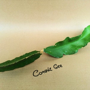 Puede incluir: Una hoja de cactus verde con un tallo marrón, que yace sobre una superficie marrón. El texto "Connie Gee" está escrito con tinta negra sobre la superficie.