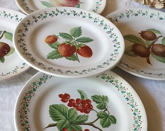 SET of 7 hand painted French antique Choisy-le-roi botanical plates w summer fruit motif, 19thC ironstone earthenware, HB et Cie France