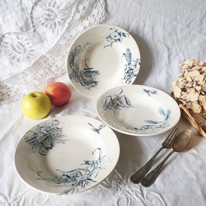 Set of 3 French antique soup plates blue transferware, excellent cond, flowers and dragonflies c1890 Aesthetic Movement, Arts and Crafts
