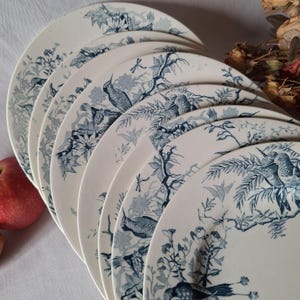 May include: A collection of white ceramic plates featuring a blue bird and floral pattern. The plates showcase detailed illustrations of birds, flowers, and branches. The plates are arranged in a fan shape.