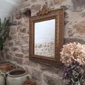 Antique French Rectangular Mirror Ornate Frame Birds Flowers c1900