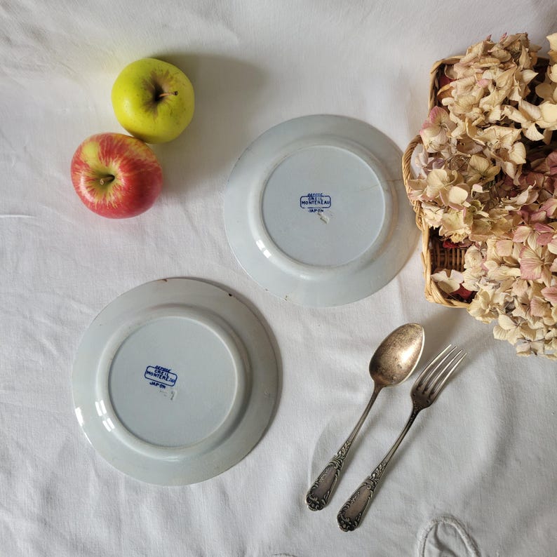 May include: Two white ceramic plates with blue trim and a blue stamp on the bottom. The stamp reads "MADE IN MONTENEGRO". The plates are on a white surface with two red apples and one green apple.