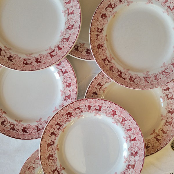 SET 9 vintage ironstone dinner plates in red transferware ivory white, Aesthetic movement St Amand France, 'Murier' ('blackberry') pattern